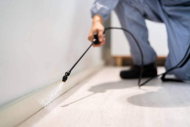 Licensed Pest Control service in Hamburg, NJ - Show Me Pest Control
