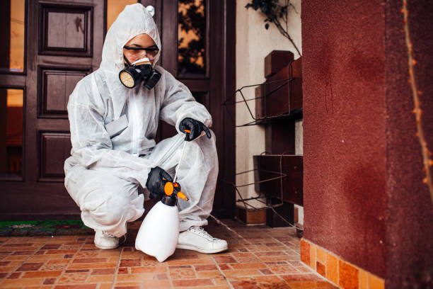 Reliable Ant Control contractor in Hamburg, NJ by Show Me Pest Control